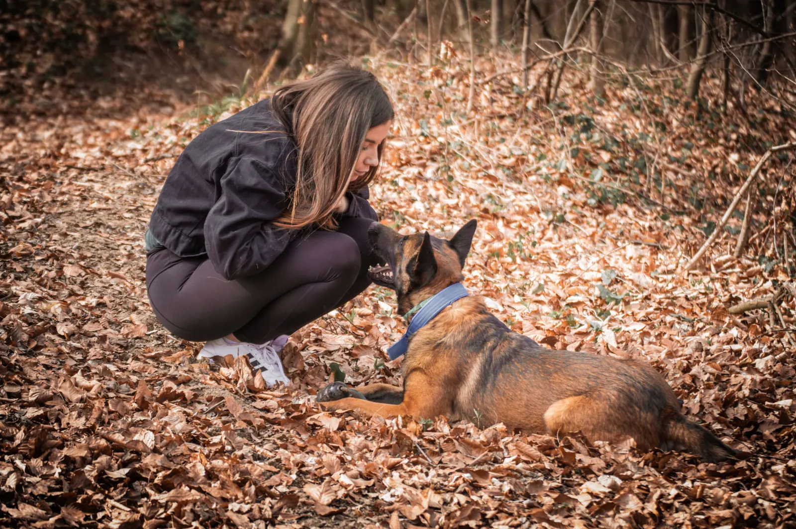 A trainer working with a dog on a woodland path