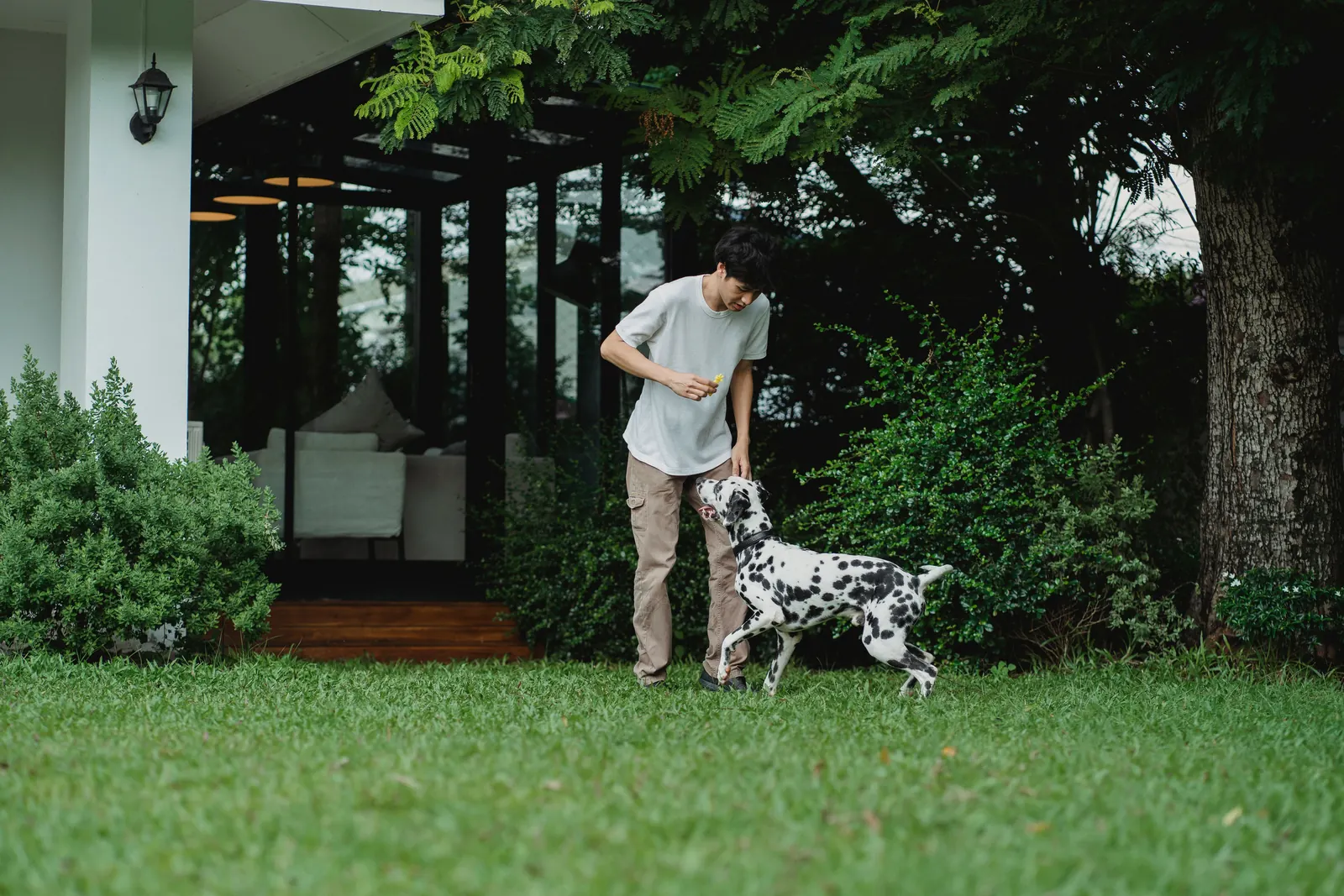 A trainer working with a dog in a garden