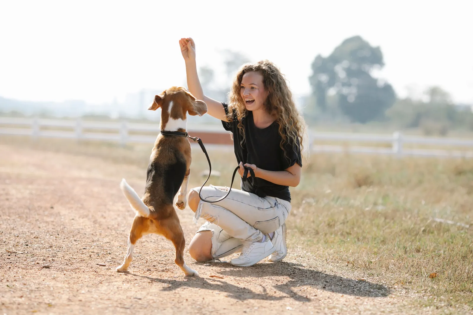 A trainer practising recall with a dog in an open field