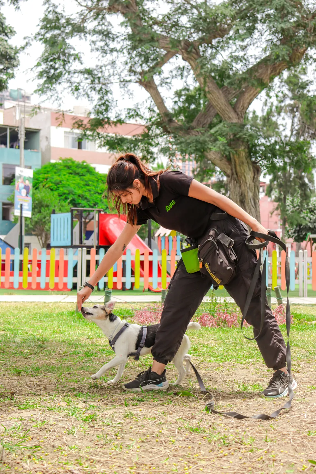 A trainer working with a shepherd dog in an agility area