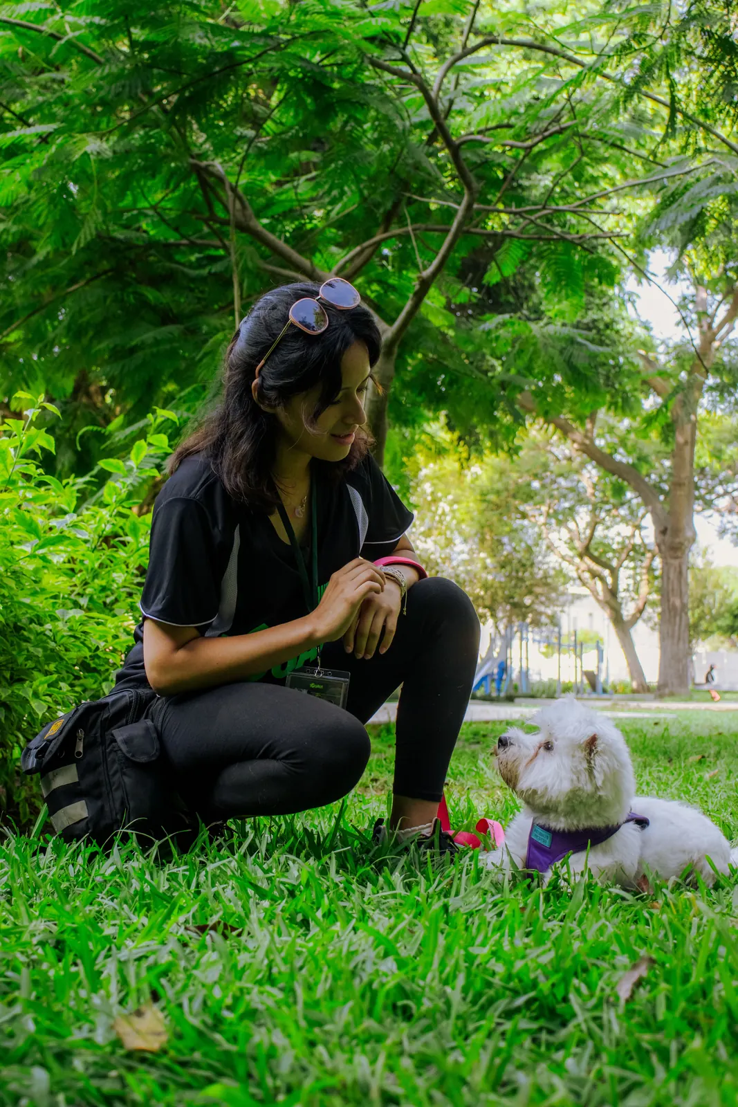 A trainer sitting with a small dog in a park